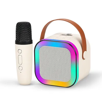 Wembley Rechargeable Karaoke Mic