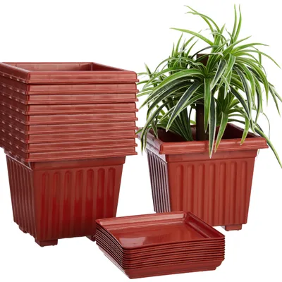 Amazon Brand - Solimo Square Pots