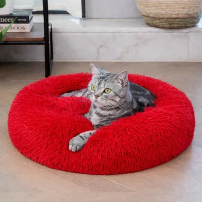 Zexsazone Donut Pet Bed